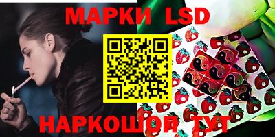 индика Гагарин